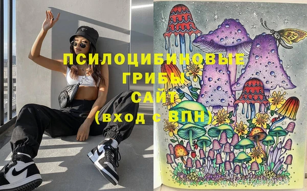 ECSTASY Бородино