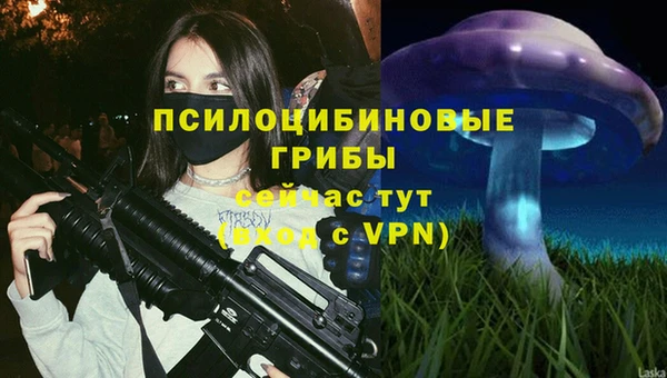 ALPHA-PVP Богородицк