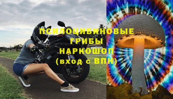 скорость Богданович