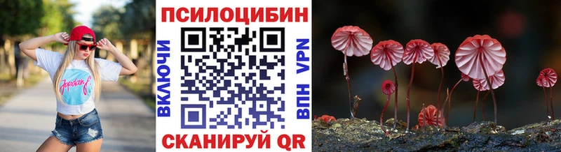 Галлюциногенные грибы мухоморы  Верхняя Тура 